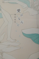 愛がなんだ（角田光代）の表紙