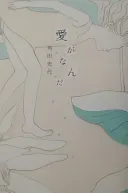 愛がなんだ（角田光代）の表紙