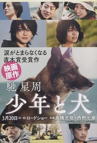 少年と犬(馳星周)の表紙